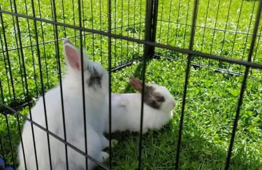 La casa nel Monferrato "LA CONTENTËSSA" - Photo 45