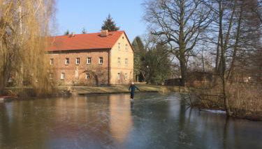 Storchenblick - Foto 3