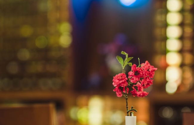 Sea Cliff Court - Photo 42