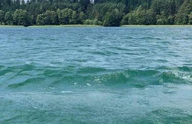 Między Brzozami - Foto 34