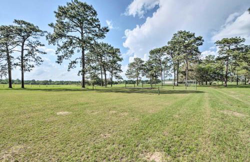 Quaint and Quiet Belleview Cabin on 35 Acres! - Foto 27