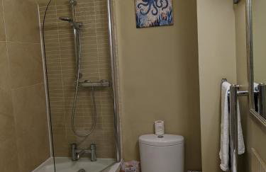 Pier View Sea View Apartment Aberystwyth Promenade - Foto 21