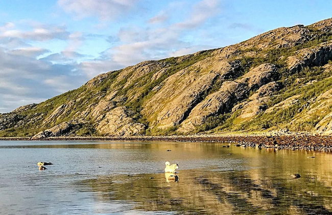 Holiday Home in Lebesby - Foto 16