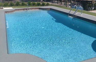 The Playful Pelican - Foto 23