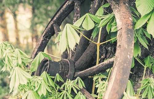 Ennerla Hof - Foto 32