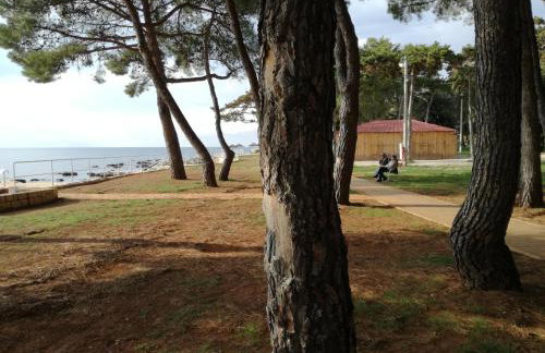 Apartmani Jenny - Photo 41