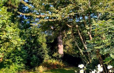 Maison sur la Presqu'île de Plougastel - Foto 13