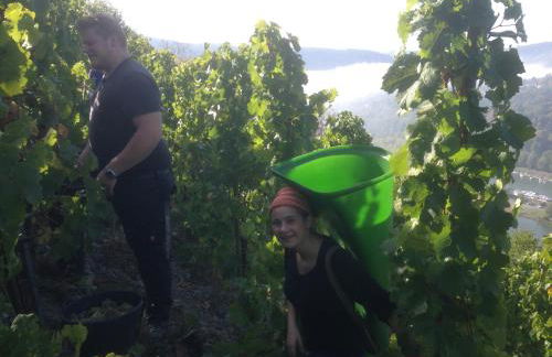 Ferienhaus Atelier - Foto 38