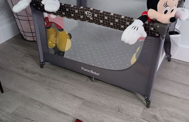 Free Shuttle 2 Queen Disney Area - Foto 29