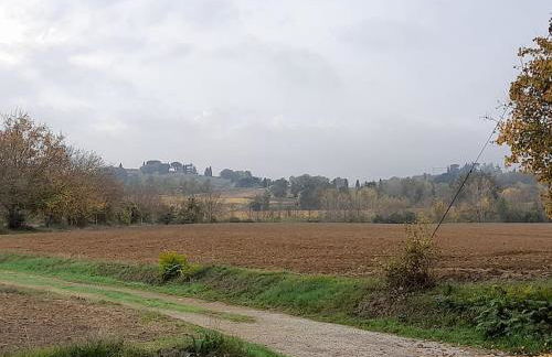 Montepulciano - La Casetta del Pian delle Noci - Foto 53
