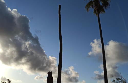 Borgo Ingurtosu - Photo 62