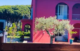 Tenuta Clementino - Foto 3