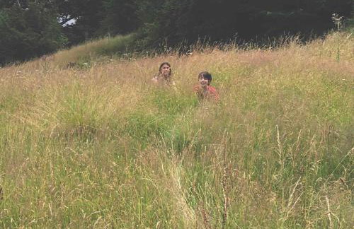 Hilly Haven & Luxury Wagon in the Forest of Dean - Foto 43