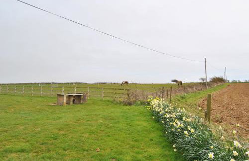 Appletree - 28555 - Photo 13