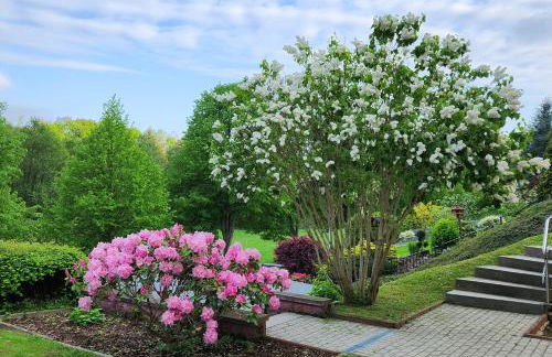 Ferienwohnung Pöhlwasserblick - Foto 18