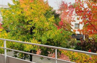 Le Cocoja, Beau T2 - Saint Jacques de la Lande - Photo 11