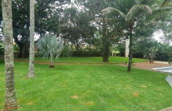 Chacara A2 Eventos - Foto 3