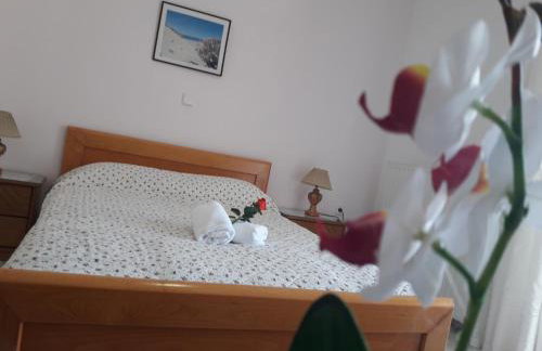 Posidonia Pension - Photo 7