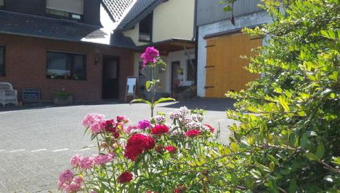 Bauernhof Sesterhenn - Foto 4