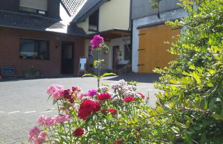 Bauernhof Sesterhenn - Foto 4