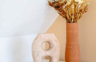 Grange rénovée avec piscine chauffée Baie du Mont St Michel - Foto 21