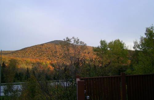 Green Mountain Cabins - Foto 23