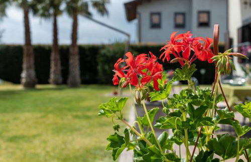 Casa Il Geranio - Foto 25