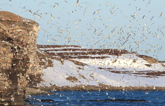 Ekker Island Arctic Lodge - Photo 52