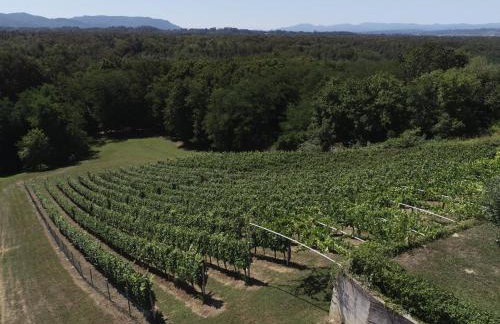 Kuća za odmor Sunce - Foto 41