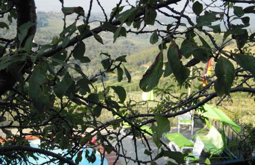 Bel Panorama Tre - Foto 16