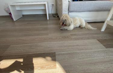 Pearl of Adriatic - Photo 51