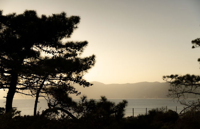 LV Premier Troia - TR1 - Foto 40