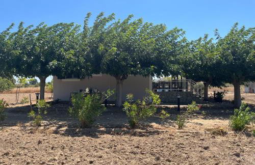 Country-side residence - Foto 15