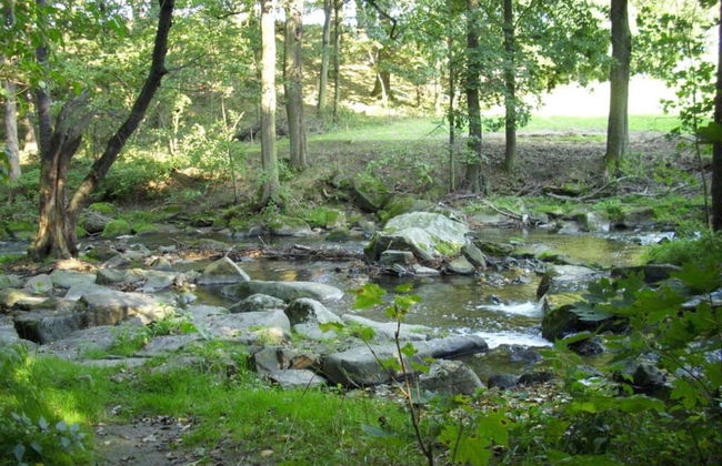 Apartment at the Knappensee in Gross Sarchen - Foto 20