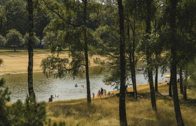 Ferienhaus Boschhuys - Foto 22