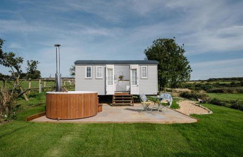 Shepherds Hut at Chenhall Farm - Photo 28
