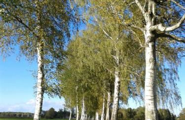 3-Zi Atelierdachwohnung mit Bergblick Seenähe und 2 Loggia - Foto 26