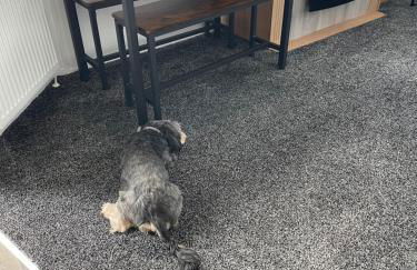 6 Rannoch, lovely holiday static caravan for dogs & their owners. - Photo 26