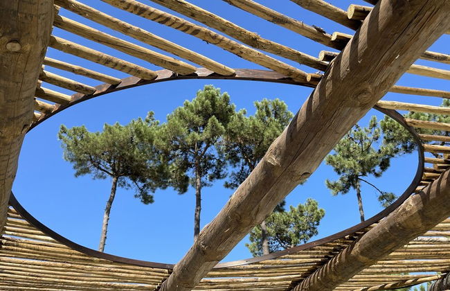 Elysian Villa by Cadenzalux - Foto 11