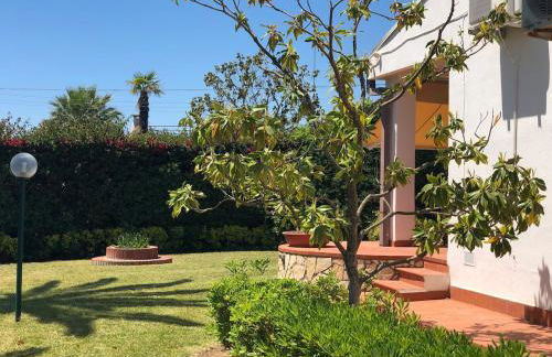 Le tre Palme - Foto 41