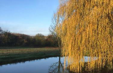 Spacious country house in Normandie - Foto 9