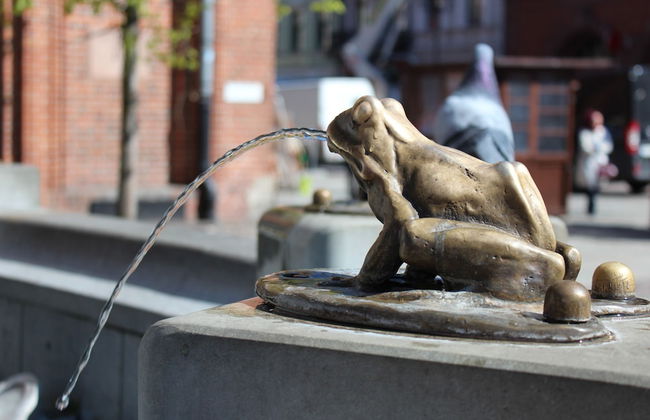 Apartament Torun - Foto 30