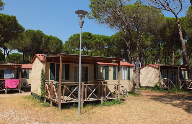 Nice Chalet in Pine Forest near Adriatic Sea - Foto 1