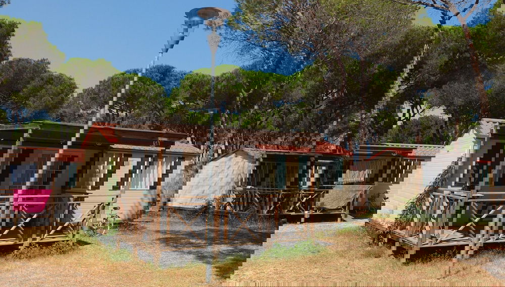 Nice Chalet in Pine Forest near Adriatic Sea - Foto 1, Imagen principal