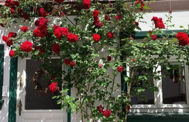 Altstadtglück Seligenstadt - Foto 23