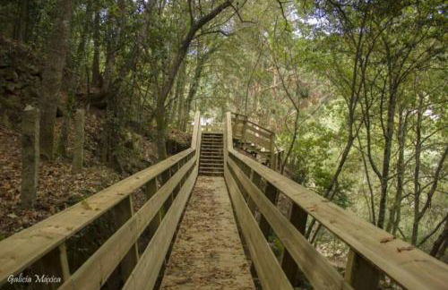 Sola Costeiro - Foto 18