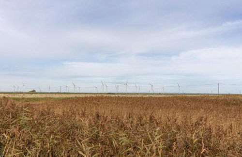 Beautiful Home from Home - Foto 18