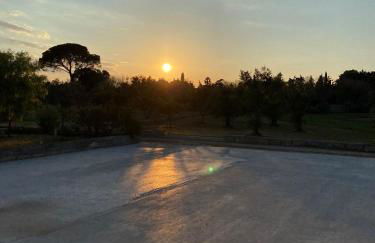 Uliveto Sant' Isidoro - Foto 53