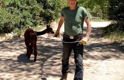 Rustic Log Cabin on Eco-Friendly Farm near Taos, New Mexico - Foto 46
