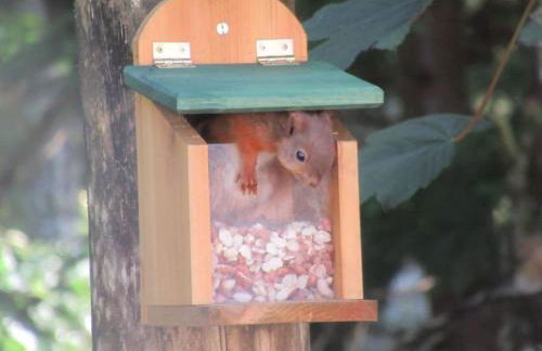 Squirrels Wood Lodge, nr Glencoe, dog friendly - Foto 32